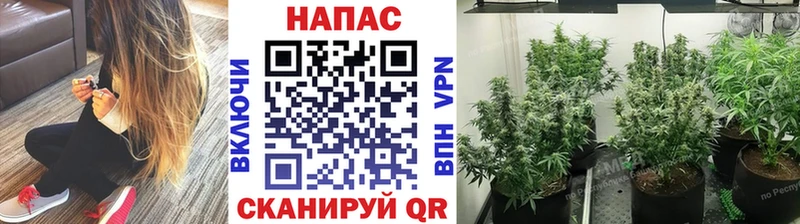 Купить МАРИХУАНА  A-PVP  Кокаин  АМФЕТАМИН  Меф мяу мяу  ГАШ  Кущёвская