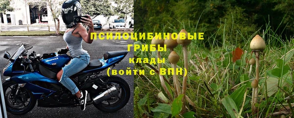 стафф Струнино