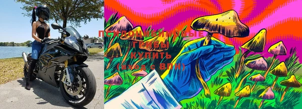 соль ск Ступино