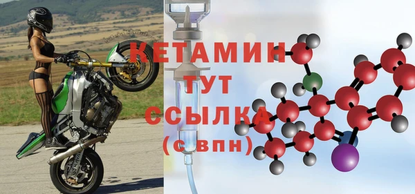 гидра Сясьстрой